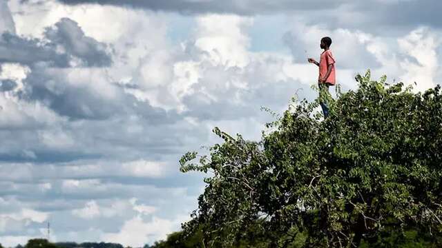 Printemps des poètes
