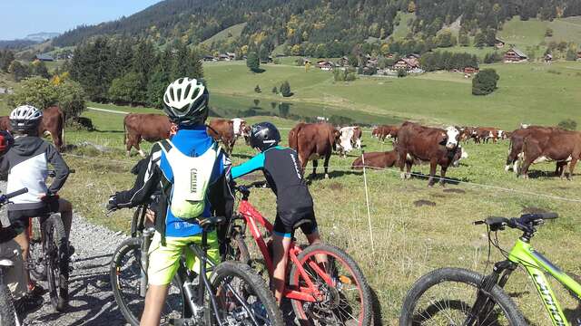 Mountain biking 8-12 y/o: Biker session green to blue level