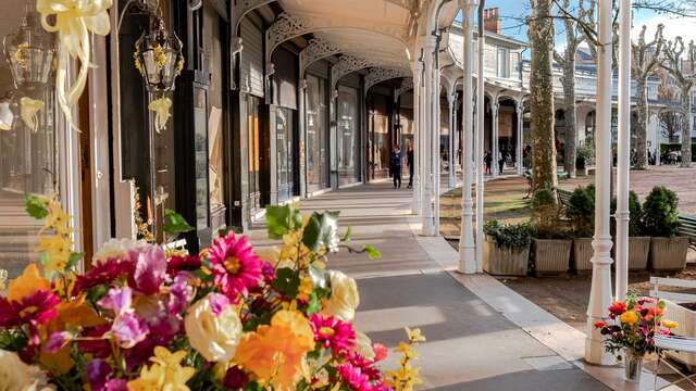 Galeries du Fer à cheval