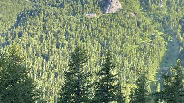 Cabane de la Guasta