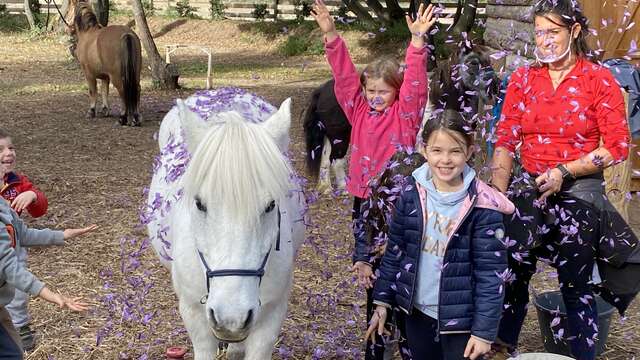 Stages et ateliers à gogo au centre d’équihomologie de Mazan