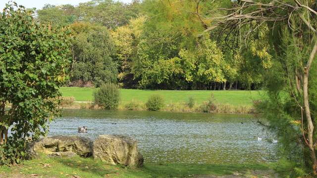 Nordic's walk