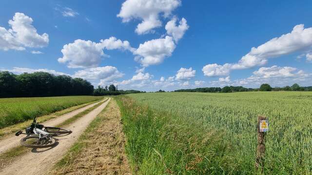 Circuit VTT-VTC n°28 (rouge) - Grand tour de Mépillat - Terres fortes de Cormoz