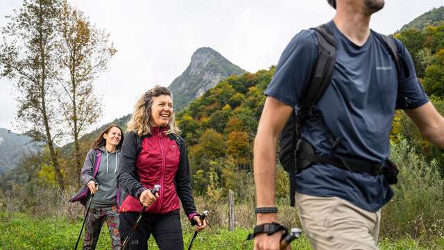 Marche nordique et bien-être : "Tonus pendant les fêtes et illuminations de Noël"
