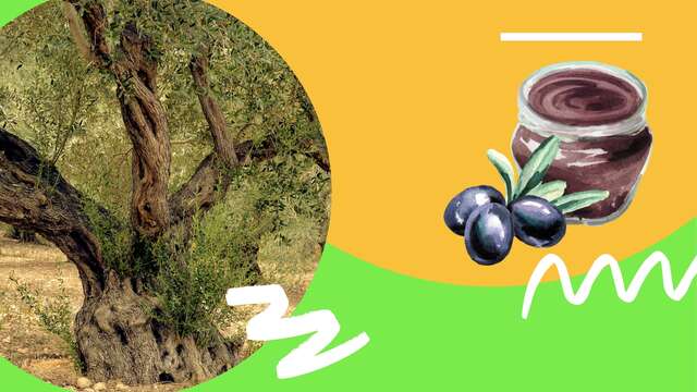 Atelier découverte curieux de nature : A vos bocaux !