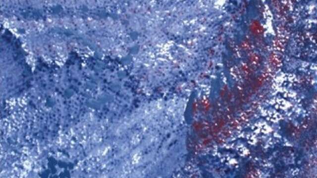 Exposition de peinture Patricia Pianetta à la bibliothèque