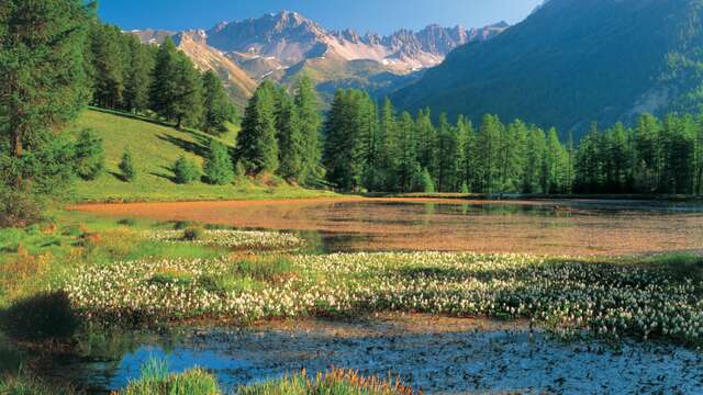 Lac de Roue
