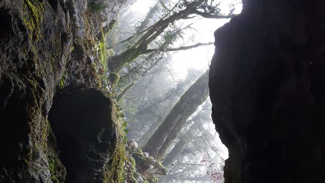 Mont Nivigne - Crête du Lomont