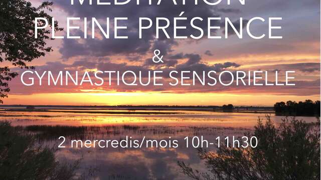 Méditation Pleine Présence et Mouvement Sensoriel