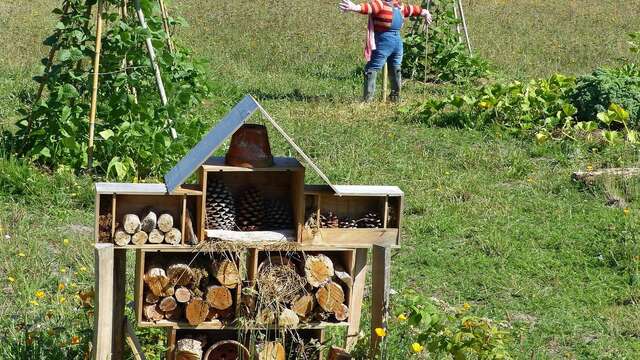 Building an insect hotel and exploration