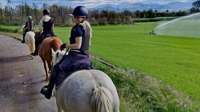 Stage randonnée - Ferme équestre du Grand Bois
