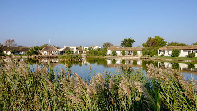 L'Estelle en Camargue