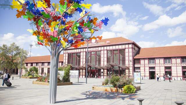 Gare de Châteaucreux