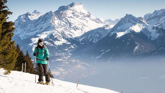 18b. Foilleuse - Savolaire - Morgins