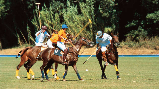 Tournoi de polo - Sun trophy
