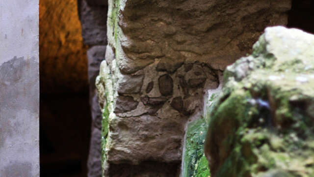 Visite guidée "Musée Archéologique et Crypte du Vivier Romain"