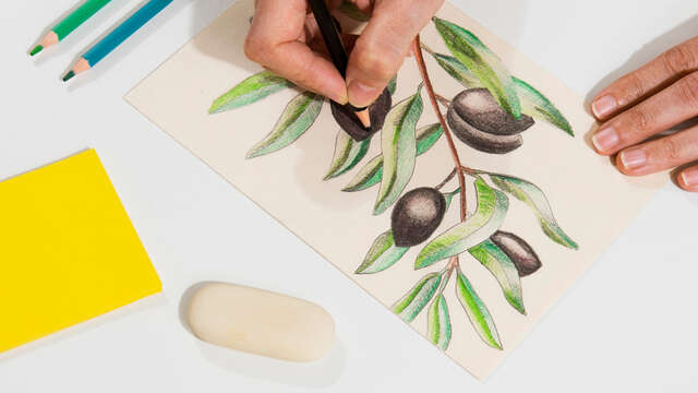 Cours de dessin