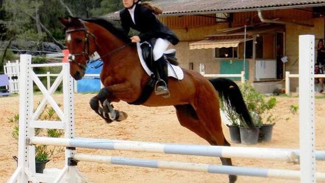 Stage équitation à la journée: TLP Equitation