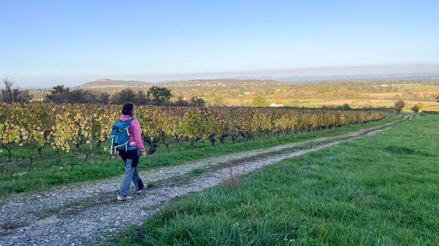 Sentier découverte des 2 pics