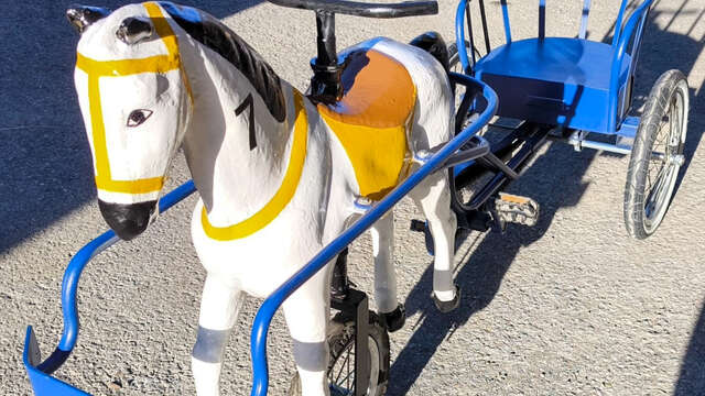 Sulkys (Nash Mountain Games)