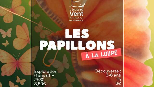 Les papillons à la loupe - Exploration