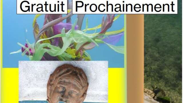 Laure Prouvost Au fort, les âmes sont