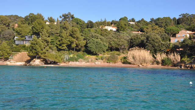 Plage du Cap Nègre