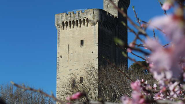 Philippe-le-Bel Tower