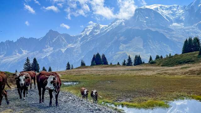 Le Tour de la Tête de Charme au départ du col de Voza