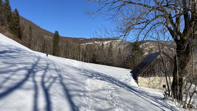 Circuit du Grand Carroz - Itinéraire hiver