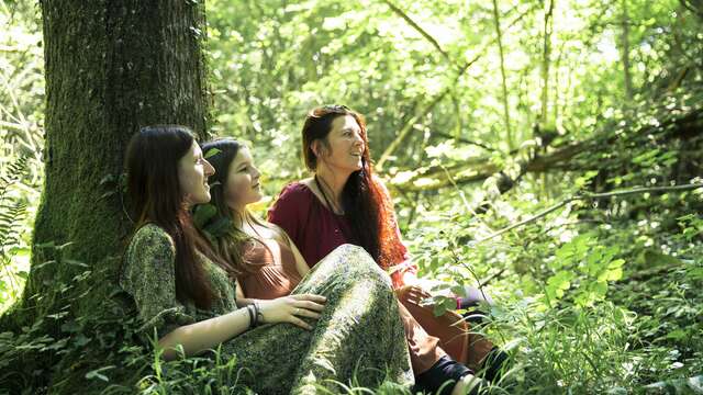 Balade ressourçante - Au cœur des arbres