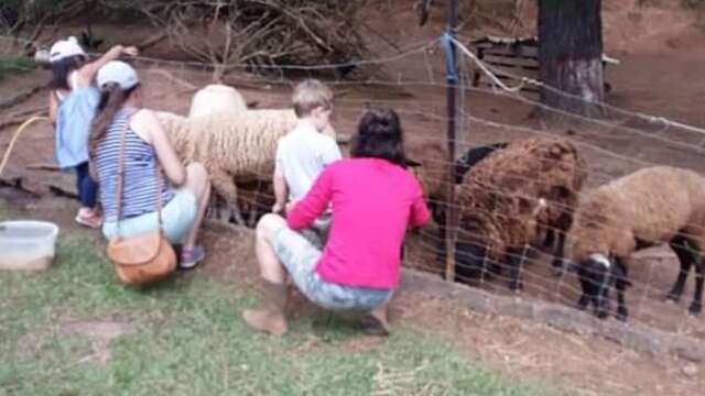 Découverte des animaux de la ferme- Spécial groupe - La Fermette de Mouirange