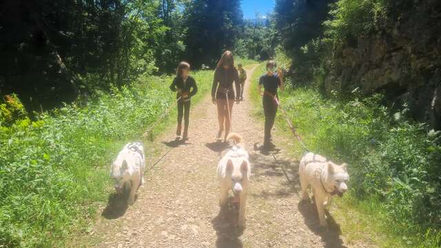 Mikia - Planete nature