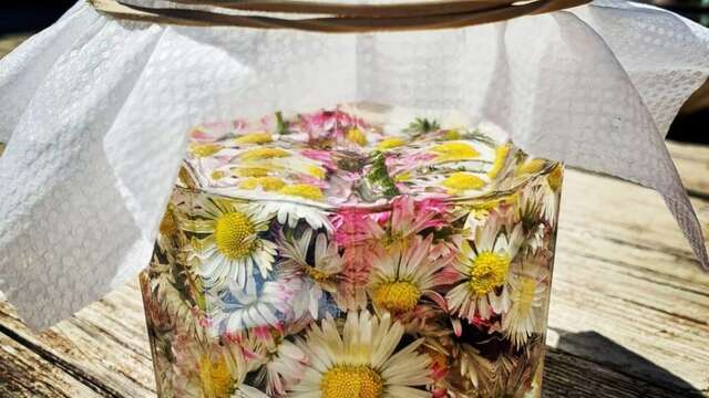 Atelier Plantes médicinales - Festival du Film Nature