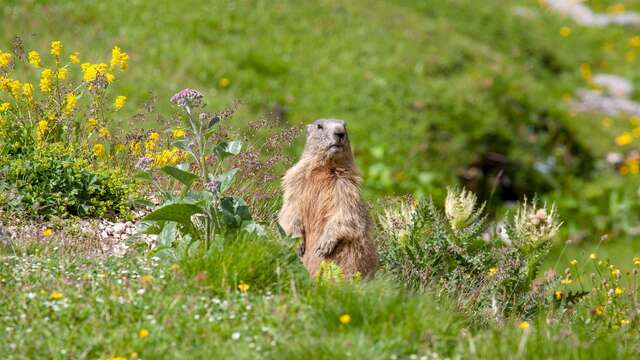 Explora famille, Sortie familiale et naturelle