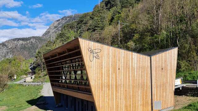 Film und Roundtable zum Thema Bestäubung