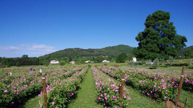 Le Clos de Callian