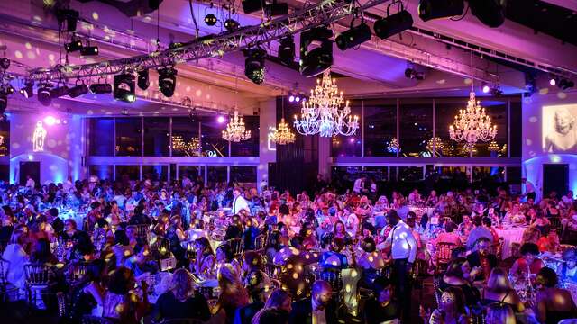 Le Salon des Ambassadeurs - Palais des Festivals et des Congrès