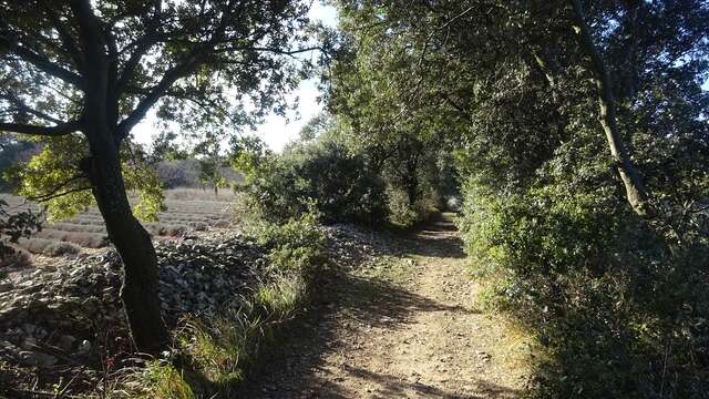 Entre bois et ravins