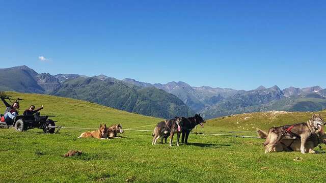 Cani-kart avec Angaka Village Nordique