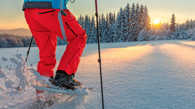 Balade en raquettes avec le bureau des guides