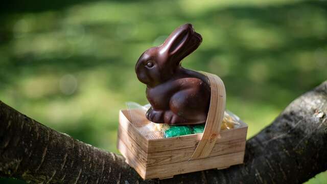 Chasse aux oeufs de Pâques à Dinoplagne