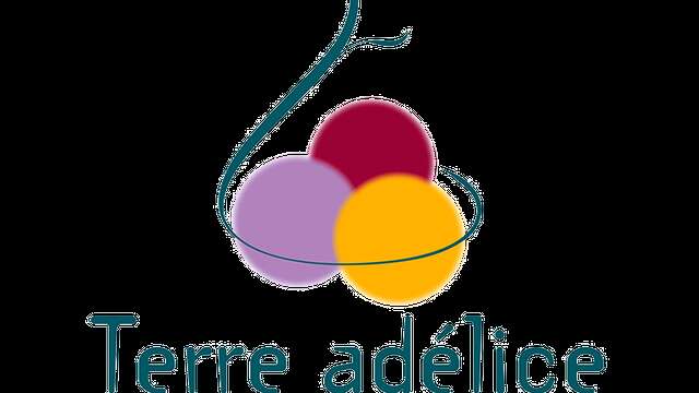 Bleuet glaces Terre Adélice