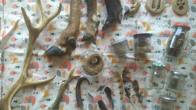 C'est à qui ? Enquête sur la piste forestière