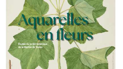 Exposition -Aquarelles en fleurs - Études du jardin botanique de la Marine de Toulon (Partie 1)