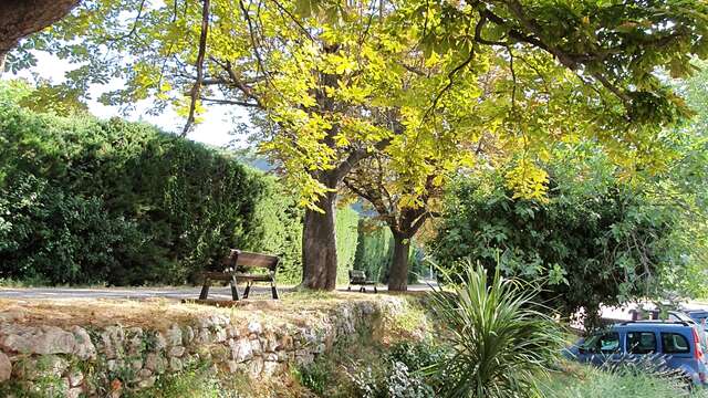 Picnic area