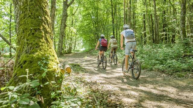 N°71 – Les Planchettes - Espace VTT-FFC Massif des Bois Noirs