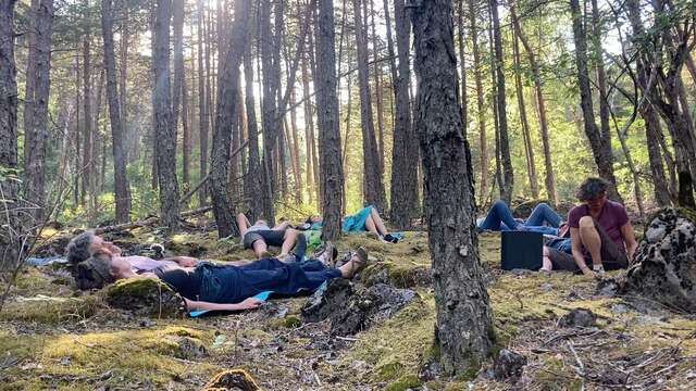 Week-end sylvothérapie (2 jours)