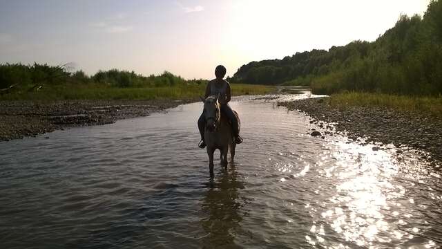 Balades à cheval et poney avec l'Elevage du Faci