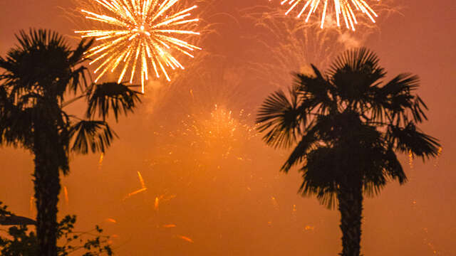 Feux d'artifices